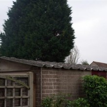 Garage Roof In Romford