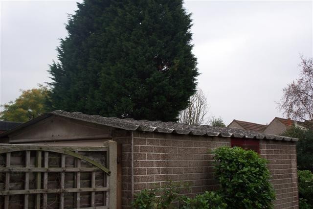 Garage Roof In Romford